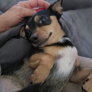 Meet your Posher, Amy